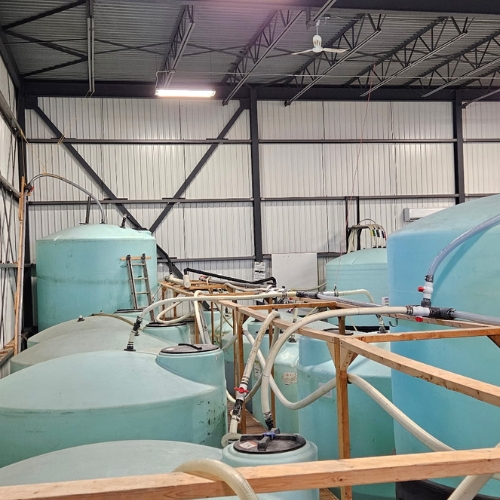 Produits et services - Environor